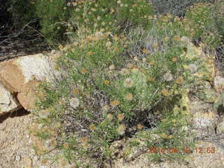 Bagdad hike (my old running loop)