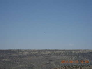 Bagdad hike (my old running loop) - bird in flight