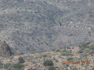 Bagdad hike (my old running loop)