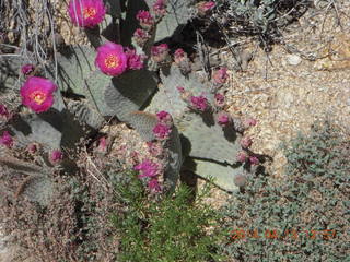Bagdad hike (my old running loop)