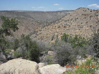 Bagdad hike (my old running loop) - canyon vista view