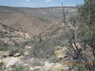 Bagdad hike (my old running loop) - bird in flight