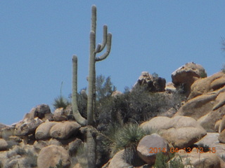 Bagdad hike (my old running loop)