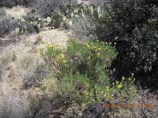 Bagdad hike (my old running loop)