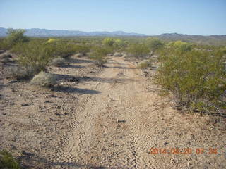 Alamo Lake airstrip run