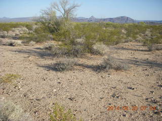 Alamo Lake - Wayside Inn