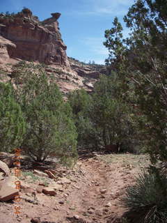 Canyon de Chelly - Spider Rock hike