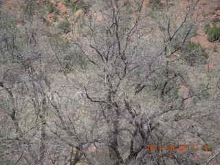 Canyon de Chelly - Spider Rock hike