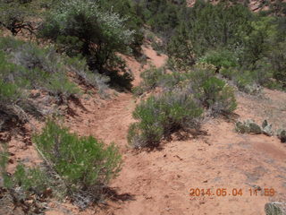 Canyon de Chelly - Spider Rock hike - Adam