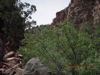 Canyon de Chelly - Spider Rock hike