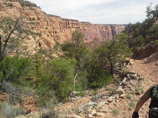 Canyon de Chelly - Spider Rock hike