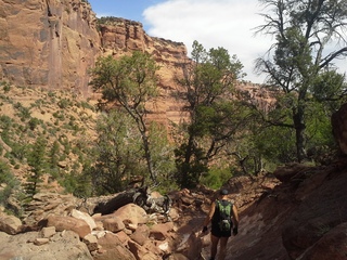 Canyon de Chelly - Spider Rock hike - Adam
