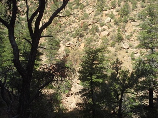 Canyon de Chelly - Spider Rock hike