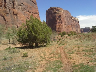 Canyon de Chelly - Spider Rock hike