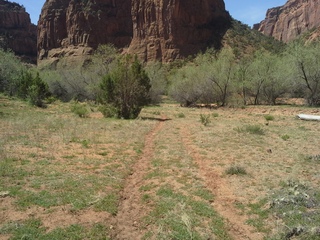 Canyon de Chelly - Spider Rock hike
