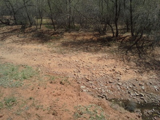 Canyon de Chelly - Spider Rock hike
