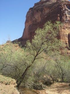 Canyon de Chelly - Spider Rock hike - Neil K