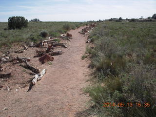 168 8md. Canyonlands National Park - Murphy trail