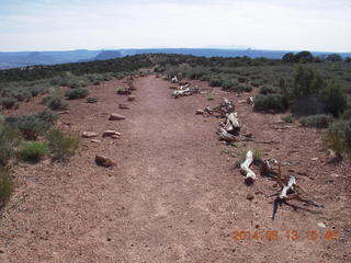 175 8md. Canyonlands National Park - Murphy trail run