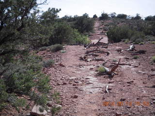 178 8md. Canyonlands National Park - Murphy trail run