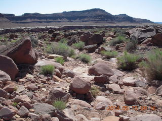 120 8mf. Canyonlands National Park - Lathrop hike