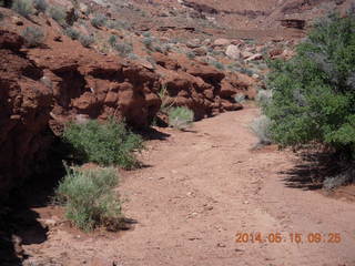 125 8mf. Canyonlands National Park - Lathrop hike
