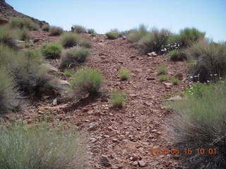 144 8mf. Canyonlands National Park - Lathrop hike
