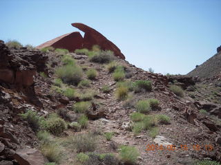 148 8mf. Canyonlands National Park - Lathrop hike