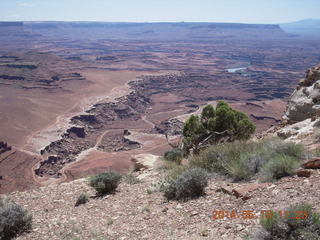 173 8mf. Canyonlands National Park - Lathrop hike