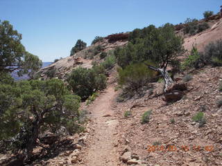 191 8mf. Canyonlands National Park - Lathrop hike