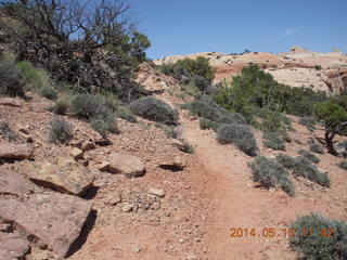 192 8mf. Canyonlands National Park - Lathrop hike