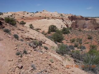 193 8mf. Canyonlands National Park - Lathrop hike