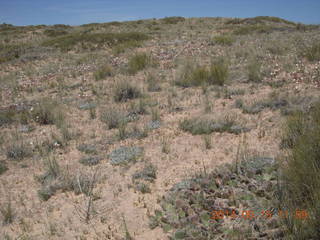 198 8mf. Canyonlands National Park - Lathrop hike