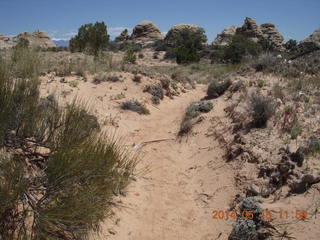 199 8mf. Canyonlands National Park - Lathrop hike