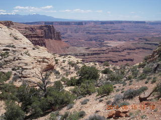214 8mf. Canyonlands National Park - Lathrop hike