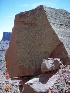 225 8mf. Canyonlands National Park - Lathrop hike