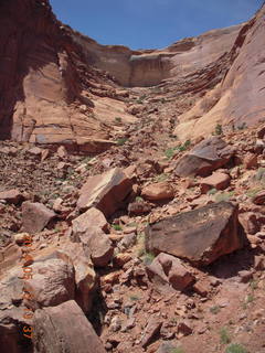 233 8mf. Canyonlands National Park - Lathrop hike