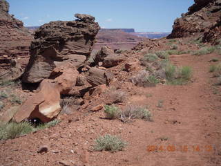 247 8mf. Canyonlands National Park - Lathrop hike