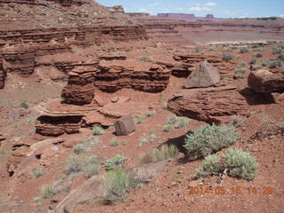258 8mf. Canyonlands National Park - Lathrop hike
