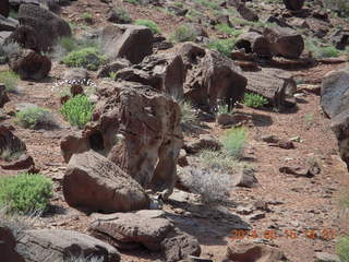 263 8mf. Canyonlands National Park - Lathrop hike