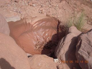 270 8mf. Canyonlands National Park - Lathrop hike - small mud hole