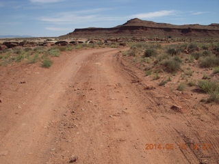 273 8mf. Canyonlands National Park - Lathrop hike