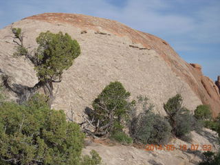 36 8mg. Arches National Park - Devil's Garden hike