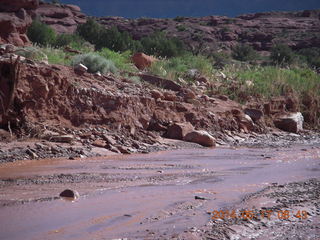 9 8mh. Onion Creek drive