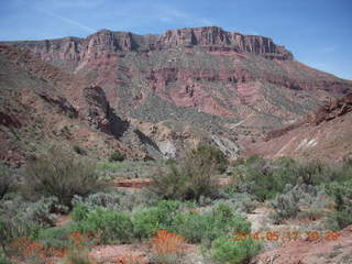 91 8mh. Onion Creek drive