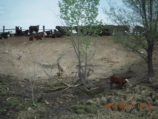 135 8mh. drive in Mack Mesa