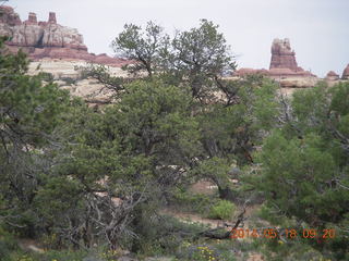 72 8mj. Canyonlands National Park - Needles - Elephant Hill + Chesler Park hike