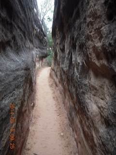 78 8mj. Canyonlands National Park - Needles - Elephant Hill + Chesler Park hike