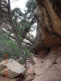 79 8mj. Canyonlands National Park - Needles - Elephant Hill + Chesler Park hike