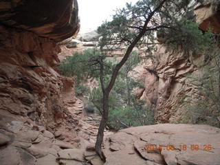 80 8mj. Canyonlands National Park - Needles - Elephant Hill + Chesler Park hike